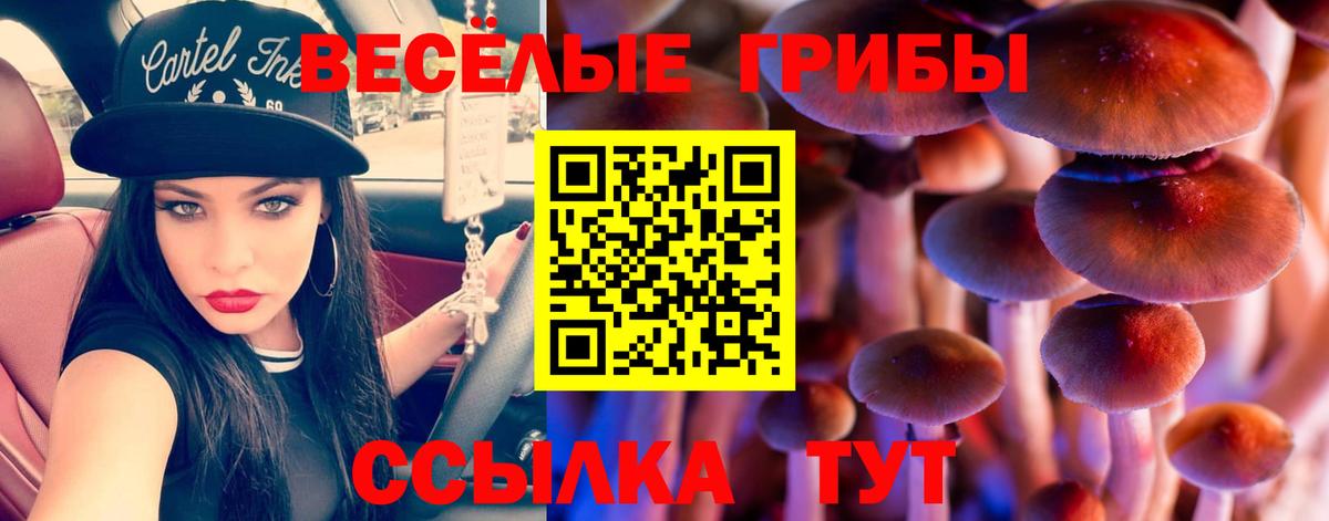 Псилоцибиновые грибы MAGIC MUSHROOMS Домодедово