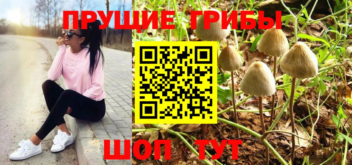 как найти наркотики  Псилоцибиновые грибы Cubensis  Вход с VPN  Домодедово 